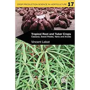Cultivos de raíces y tubérculos tropicales yuca batata ñame y aroides agricultura