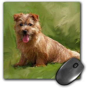 3dRose LLC 8 x 8 x 0.25 inches mouse pad, Norfolk Terrier (mp _ 4217 _ 1)